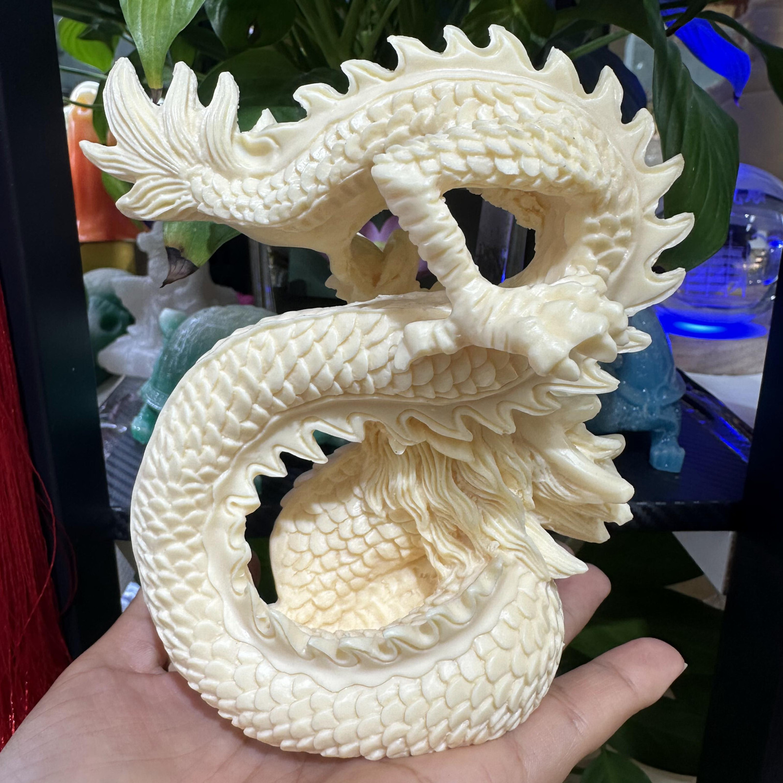 natural Genuine Taguo handmade engrave dragon skull healing decorate gift 1pc