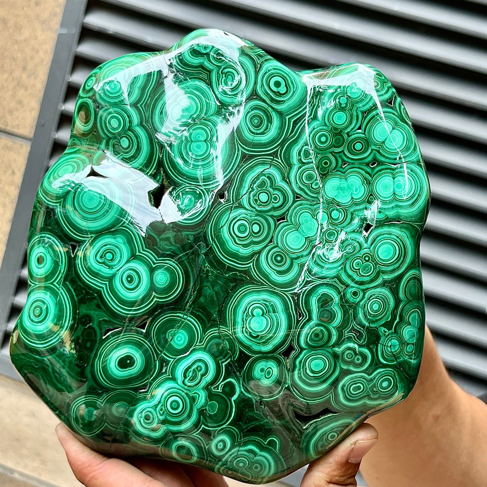 Natural Malachite Stone Polished Slab Bull Eye Pattern Display Decor 7.1 lb