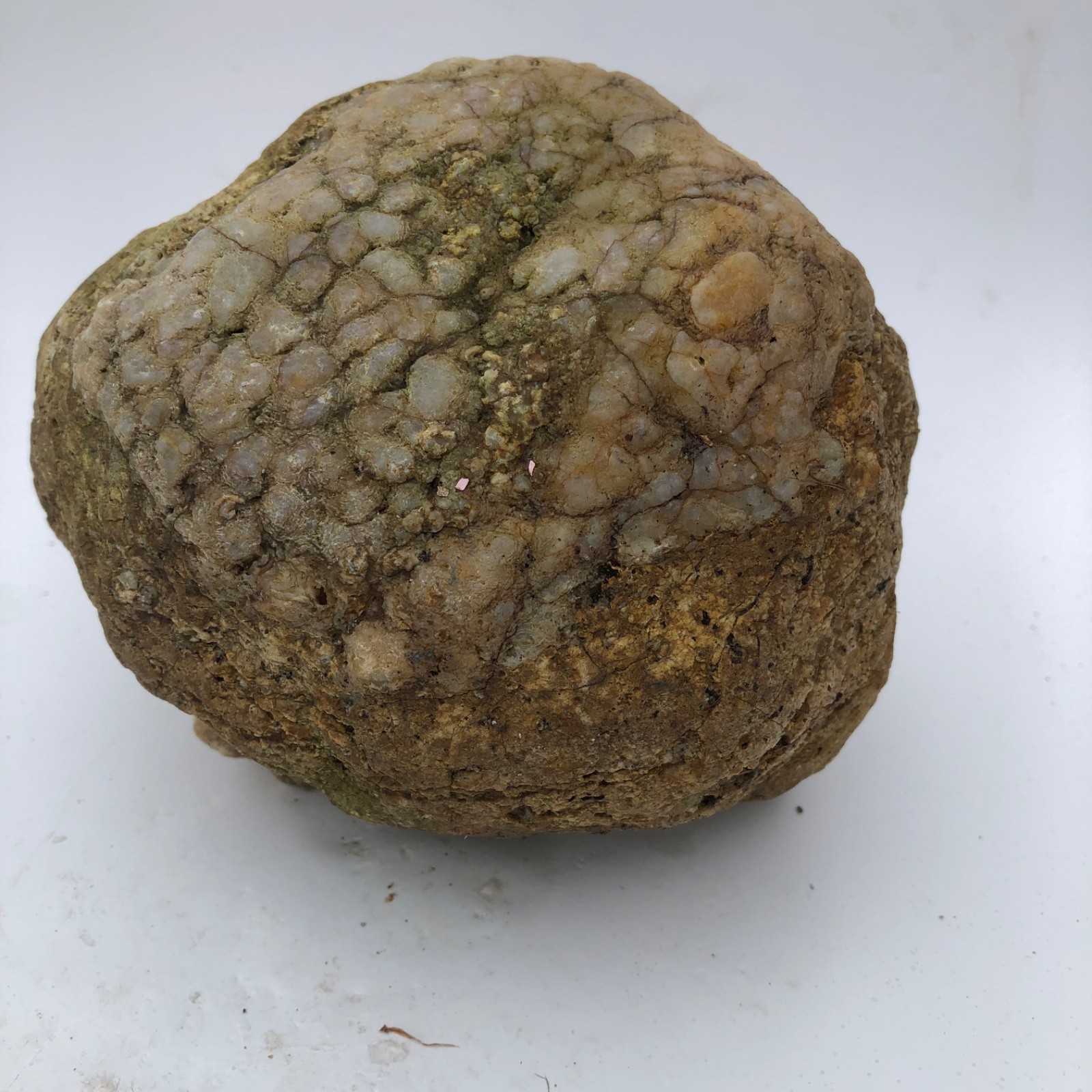 4 lb Unopened Kentucky Geode Rattler Break Your Own Hand Picked Natural Quartz