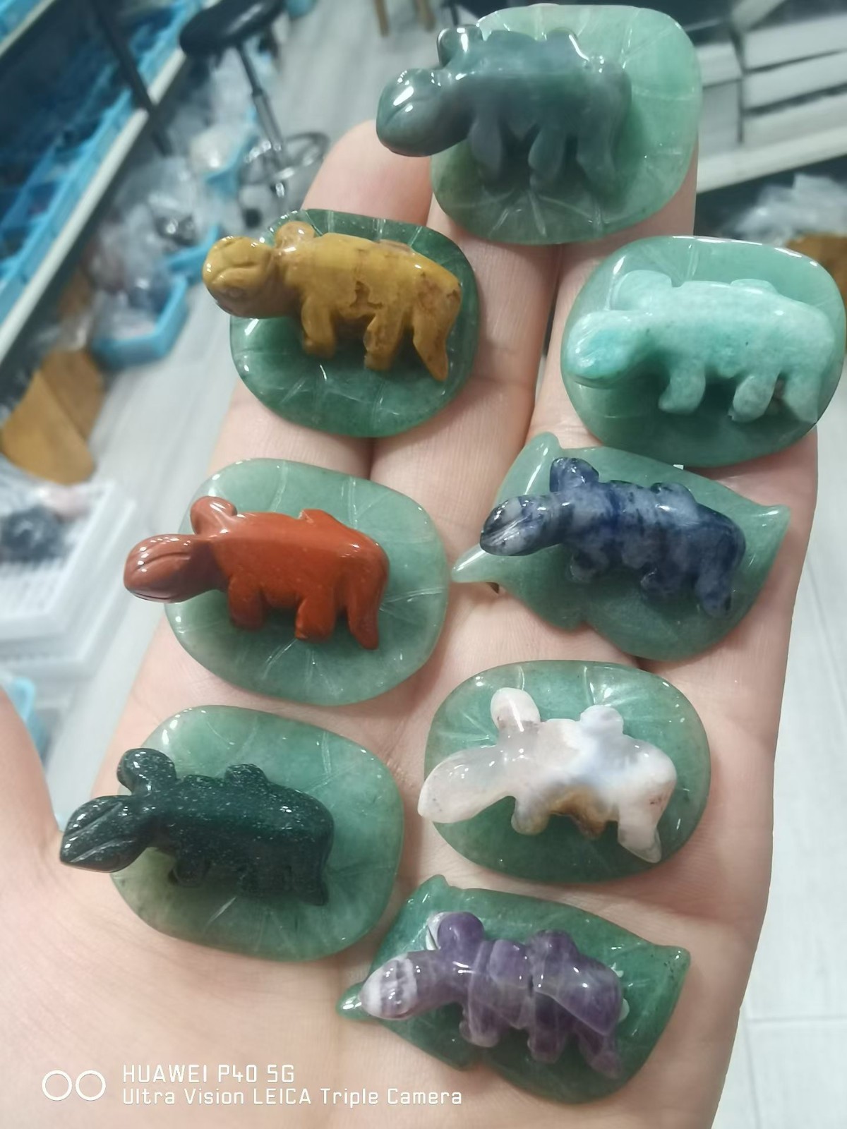 5pcs Natural mix Quartz Carved Lizard skull crystal Reiki healing Gift Random