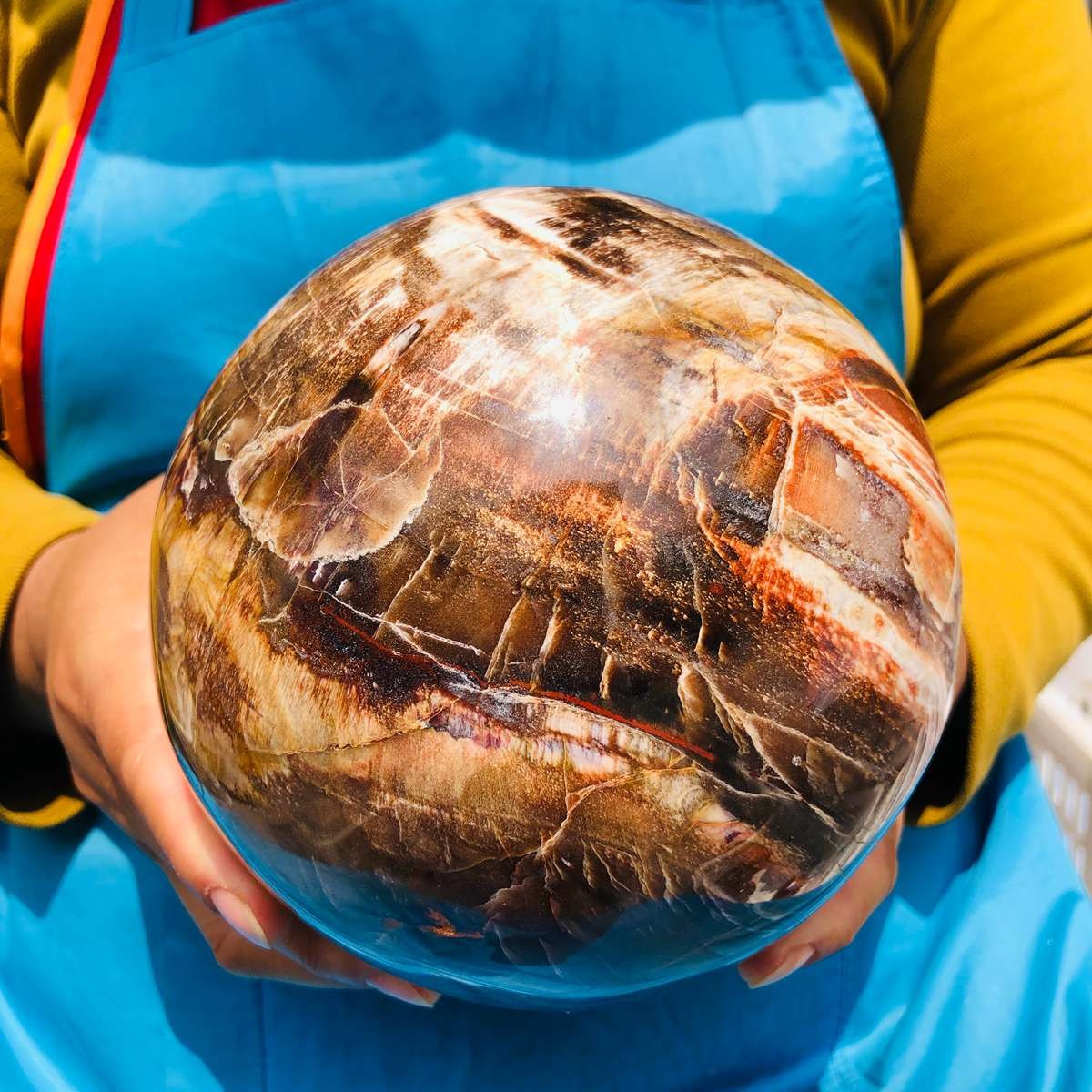 8.18LB Rare Natural Petrified Wood Ball Crystal Quartz Mineral Healing 4698