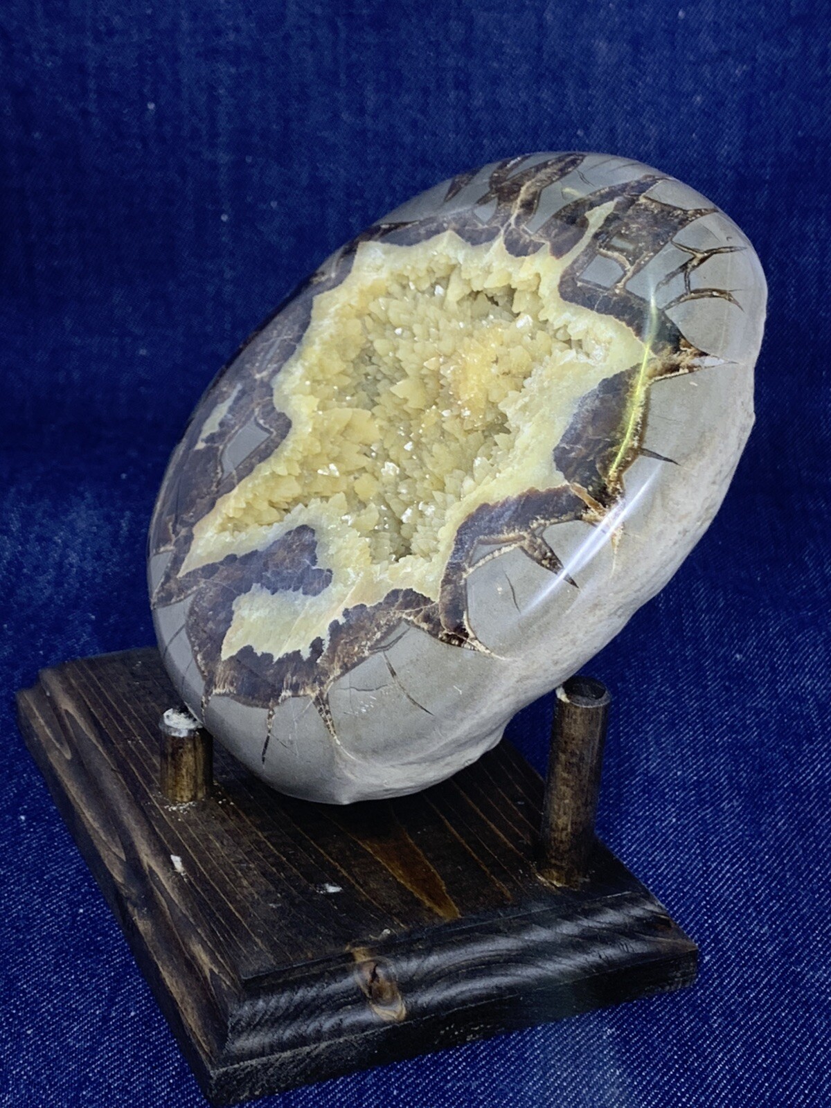 Septarian Nodule Hollow Half ( Utah)with Stand And Description Card