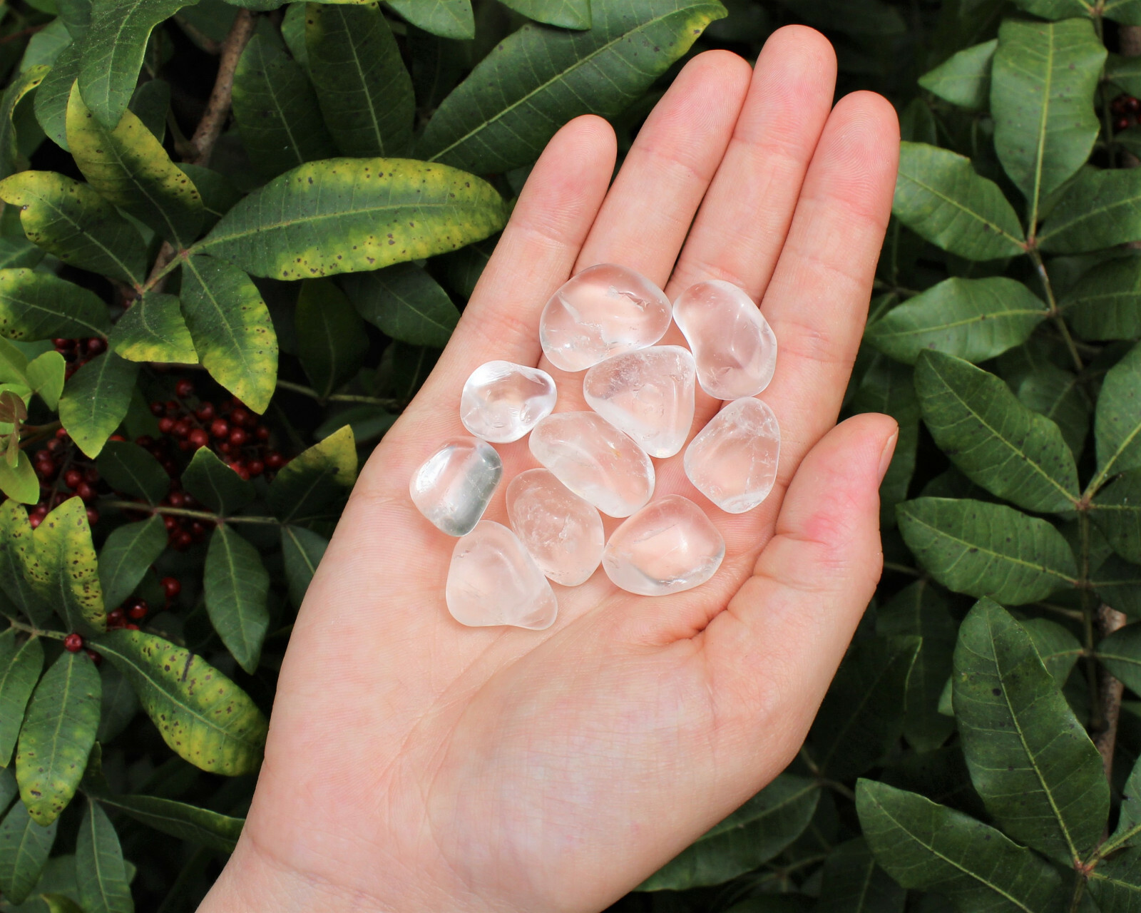 CLEAR QUARTZ Tumbled Stones: 8 oz Bulk Lot (Premium Quality ‘A’ Grade) 1/2 lb