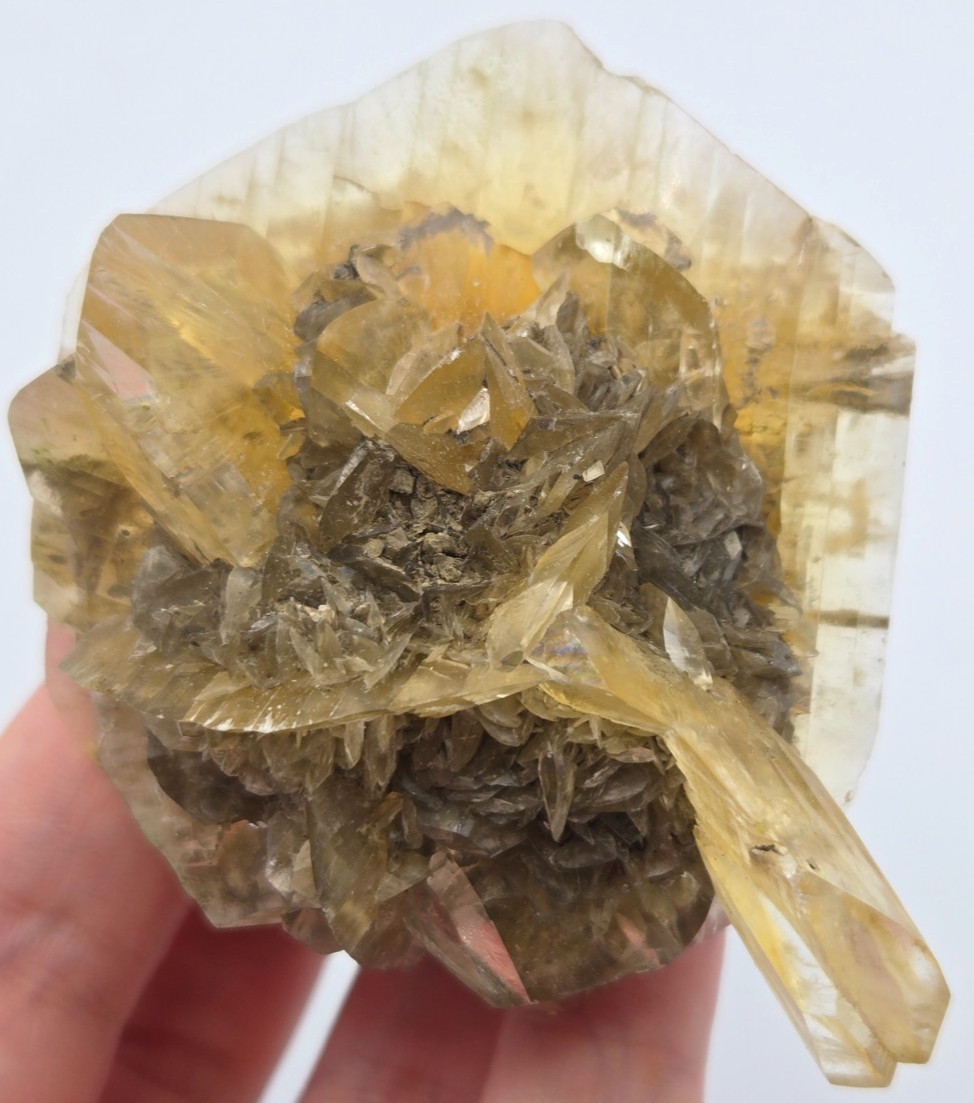 +++ GYPSUM VAR. SELENITE RED RIVER FLOODWAY, WINNIPEG, MANITOBA, CANADA +++