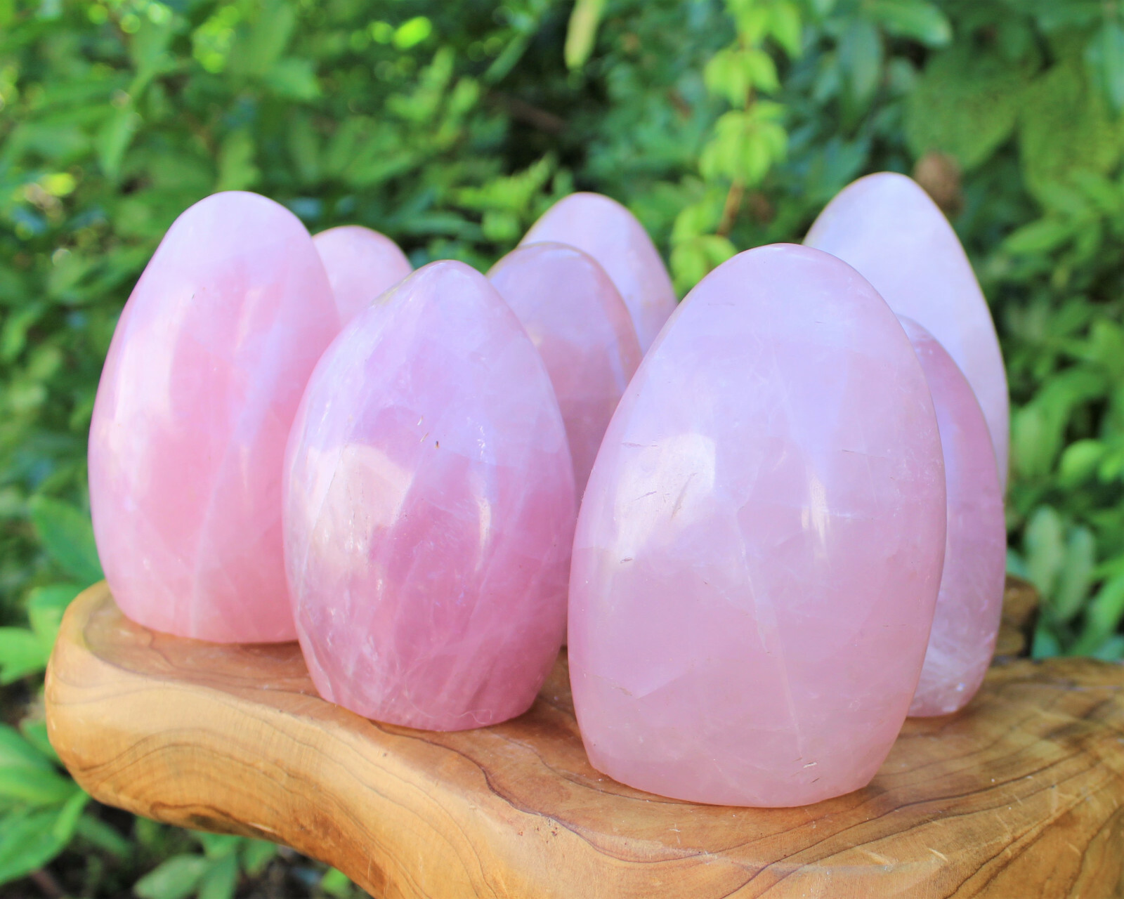 LARGE Polished Rose Quartz Freeform: Cut Base Free Standing Display Specimens