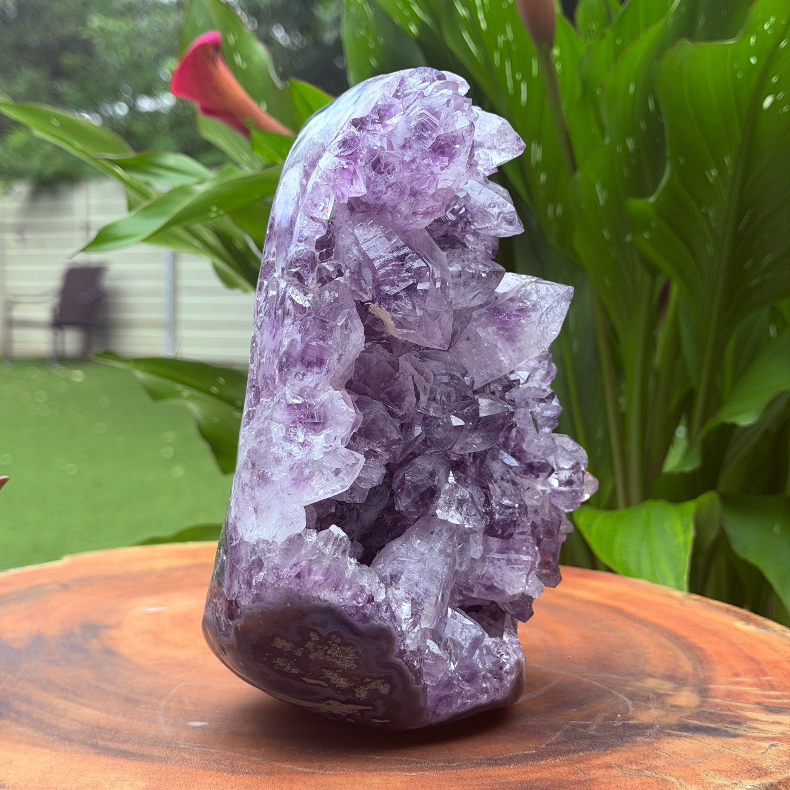 Massive Museum Grade Amethyst Geode Specimen 3.49kg Serra do Sol Brazil