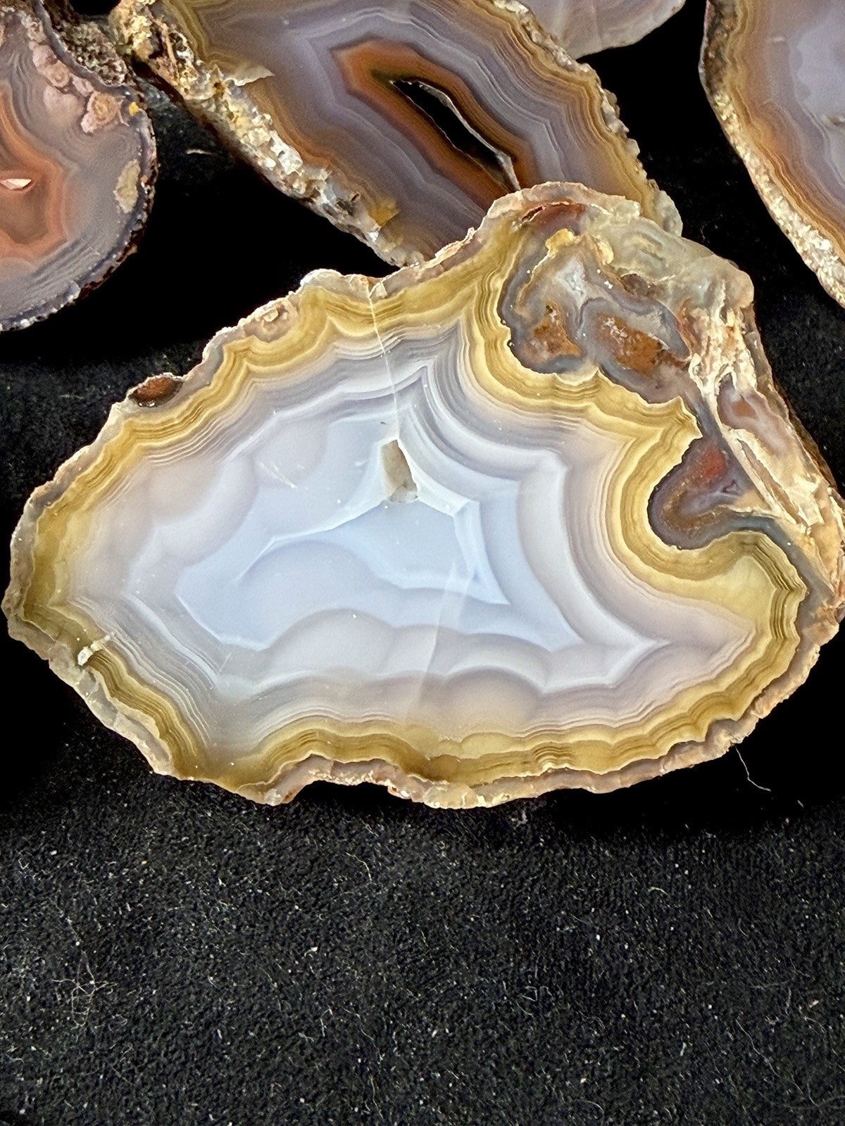 Huge Collection of Coyamito Agates. Mirror Polished Mexico. HARDAGATES
