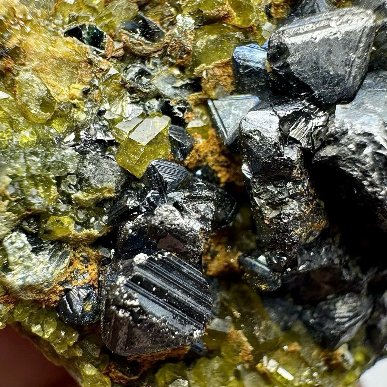 50 Gram Ultra Rare Magnetite W/Vesuvianite Crystals On Matrix From Afghanistan