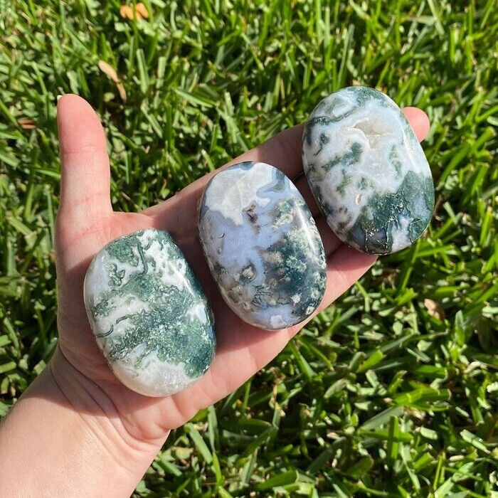 Wholesale Lot 1Lb Natural Moss Agate Palm Stone Quartz Crystal Healing Random
