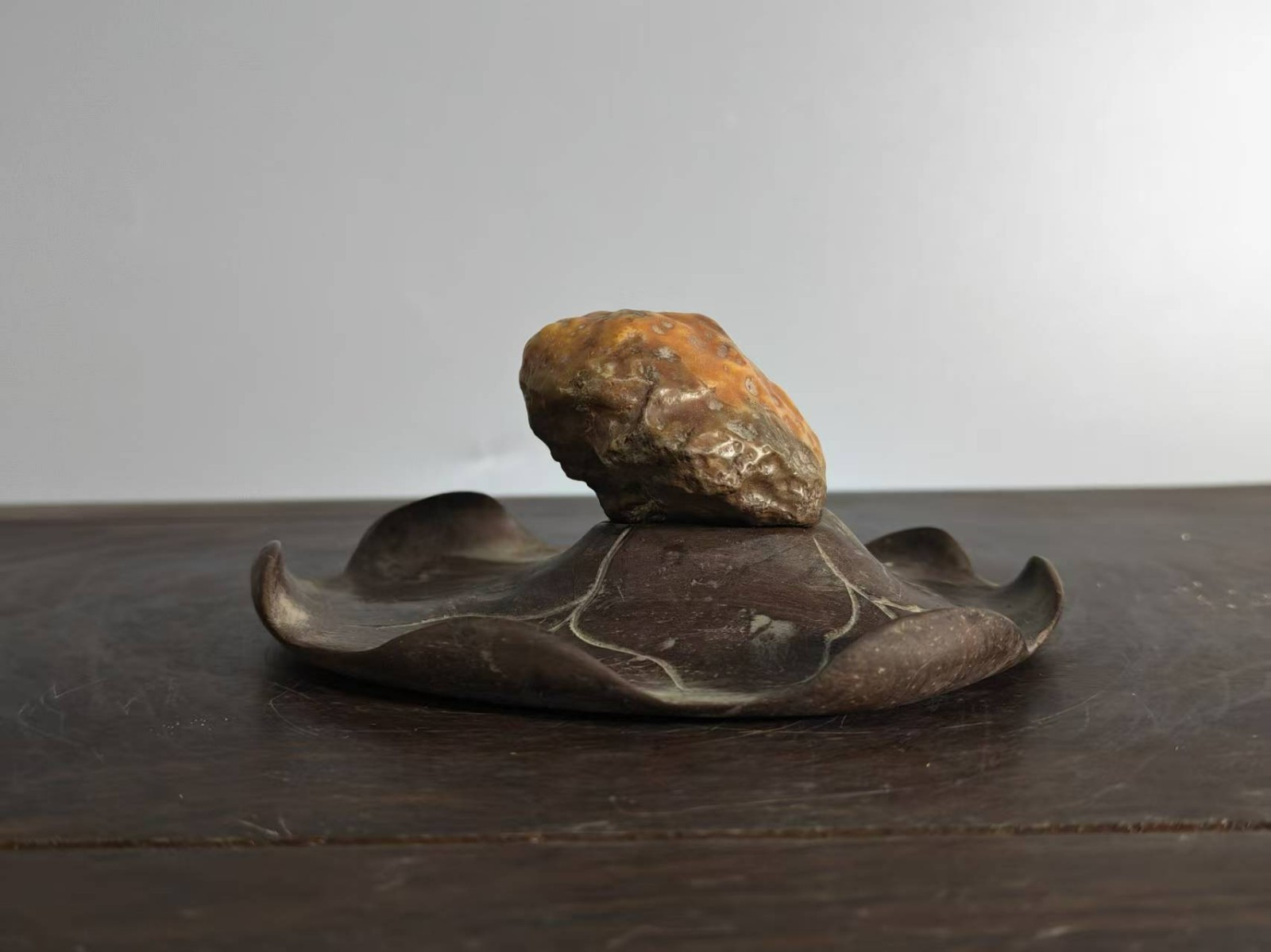 #11050. Suiseki-Fine Gobi Stone Desert Lacquer – Golden Toad Resting on Lotus