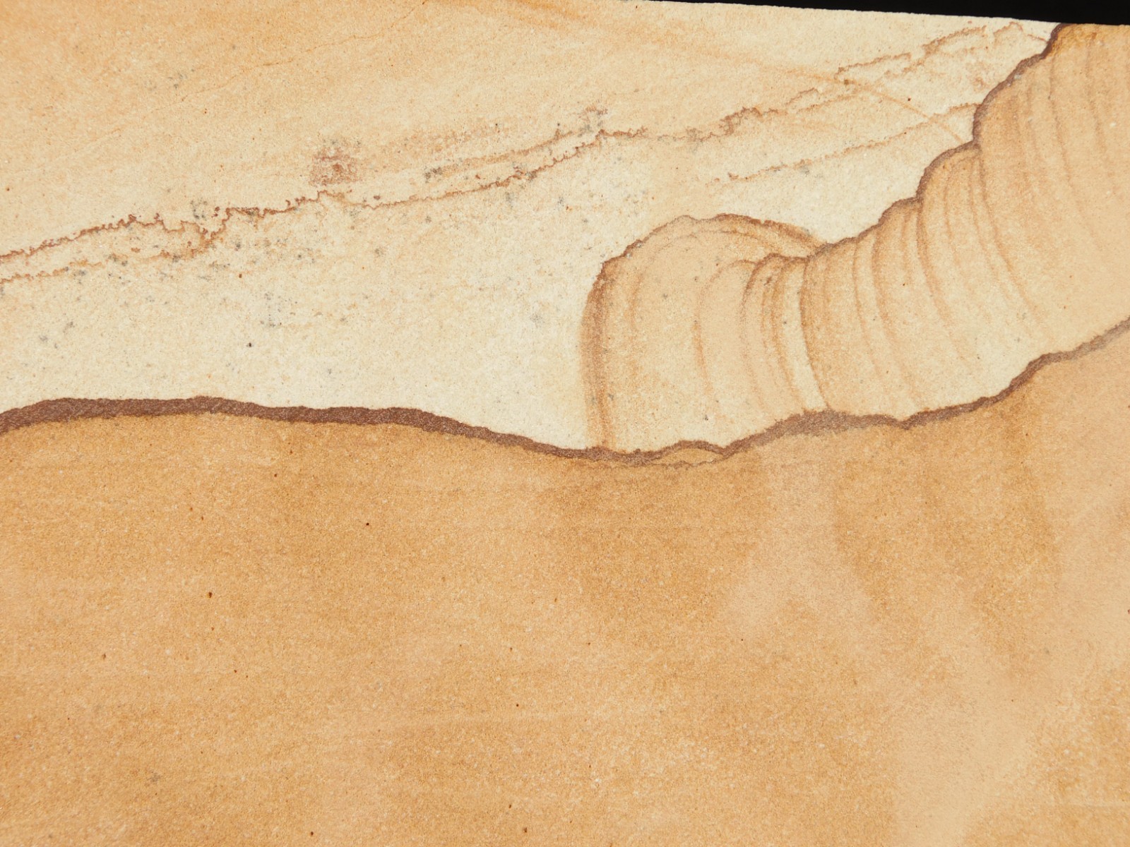 PICTURE Stone or SANDSTONE Slab with Display Stand From Utah 260gr