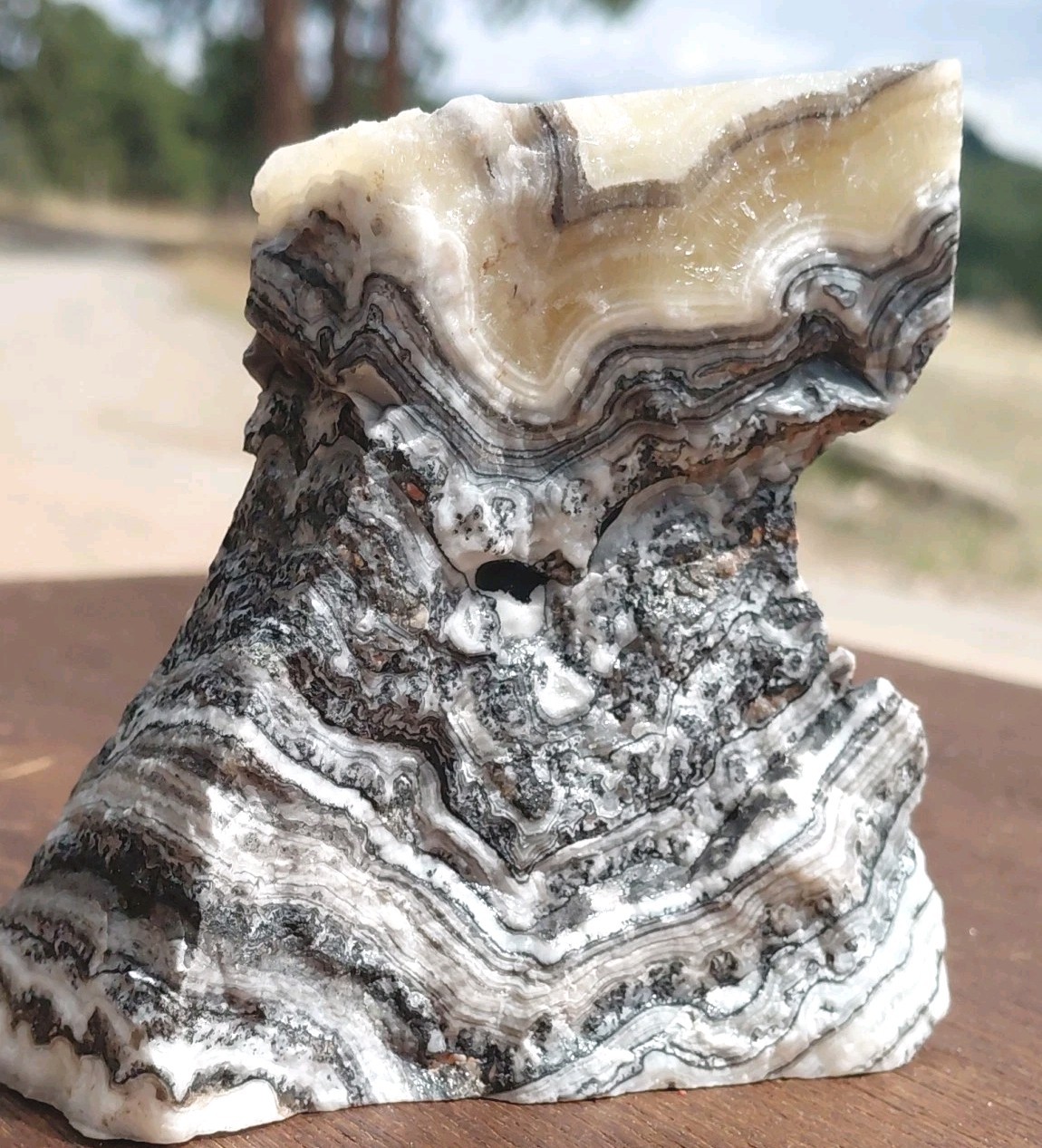 Zebra Calcite Self-Standing Display Band Dendrite 3 3/4×4×1 1/4UVReactive 1/2 Lb