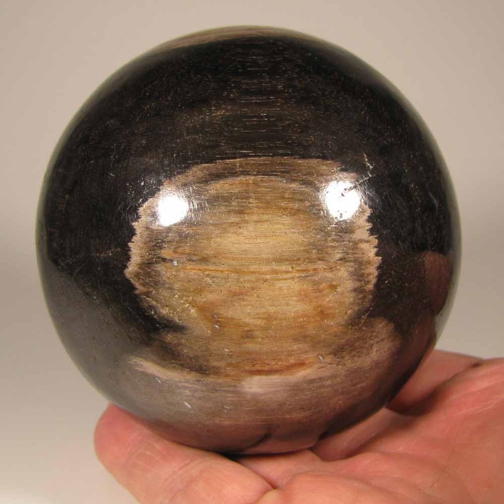 3.4″ PETRIFIED WOOD Sphere Ball w/ Stand – Indonesia – 87mm – 1.9 lbs.