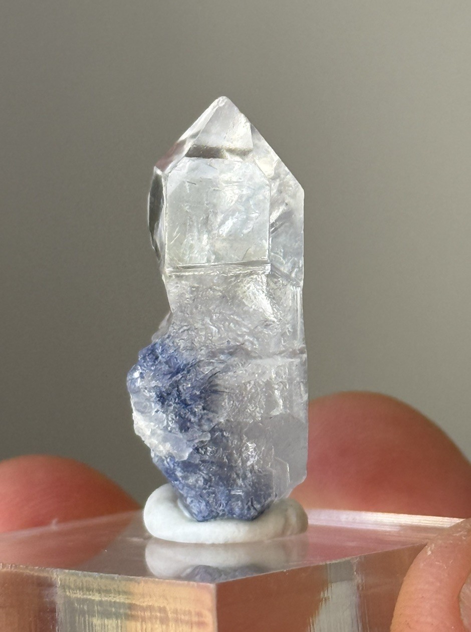 Blue Dumortierite Included Quartz Crystal Bahia Brazil 6.2g • 3cm • ID97