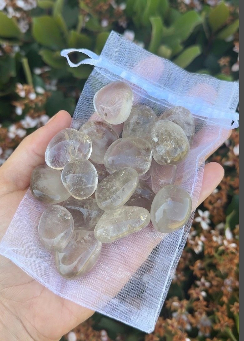 Bulk Wholesale Lot 1/2 Pound Tumble Crystals – Mixed, Carnelian, Tigers eye, ETC