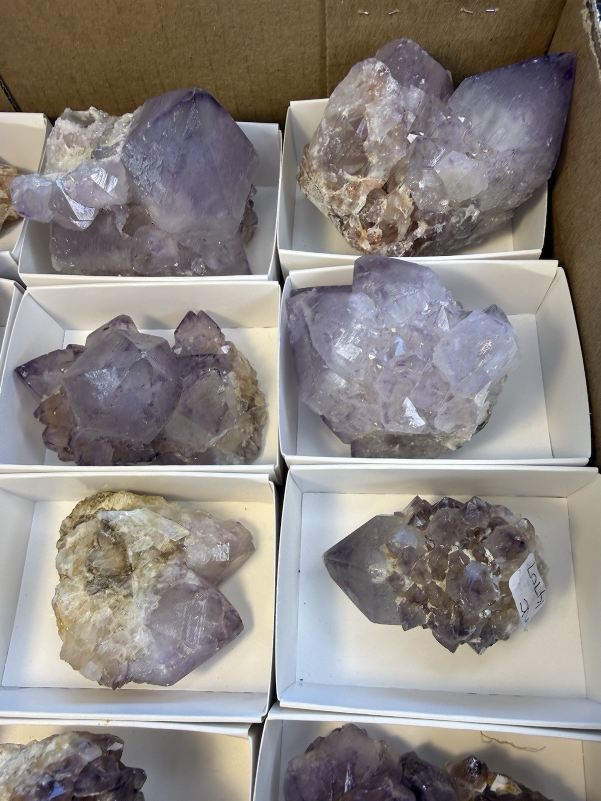 Amethyst Crystal Specimen! Orange River South Africa Excellent Color Quality
