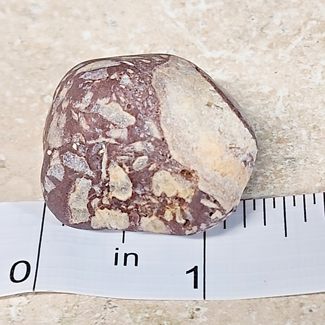 Michigan Pudding Stone| Rough Tumbled Conglomerate 1.2 Ounce 1-1/4 Inch
