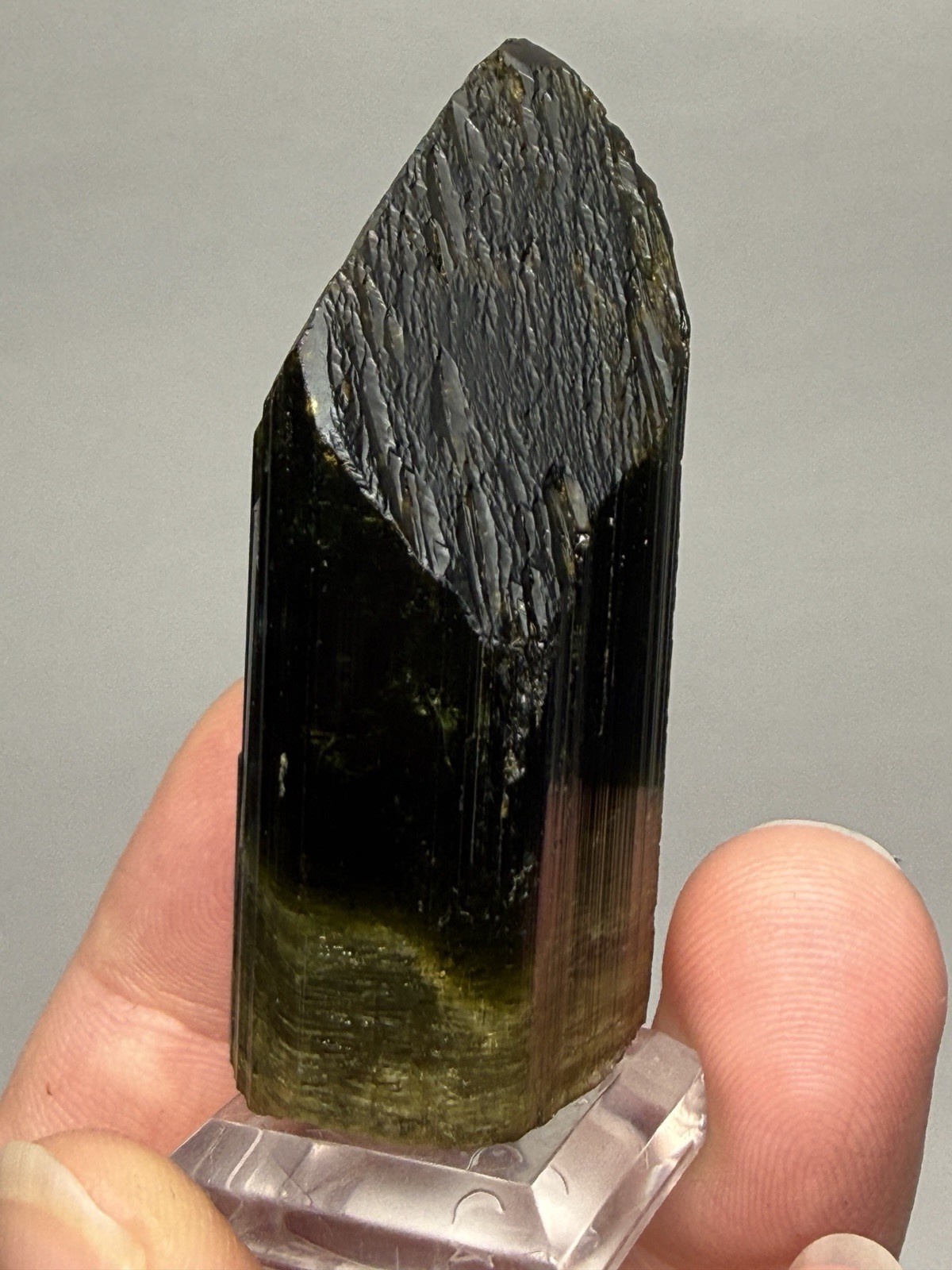 Naturally Faceted Green Tourmaline Gemstone Mineral Specimen | Pakistan