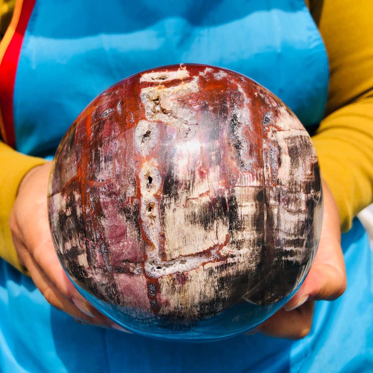 5.06LB Rare Natural Petrified Wood Ball Crystal Quartz Mineral Healing 4705