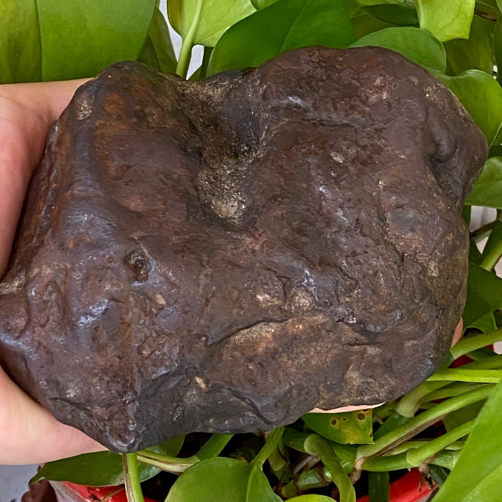 1357g Natural Iron Meteorite Specimen from China W380