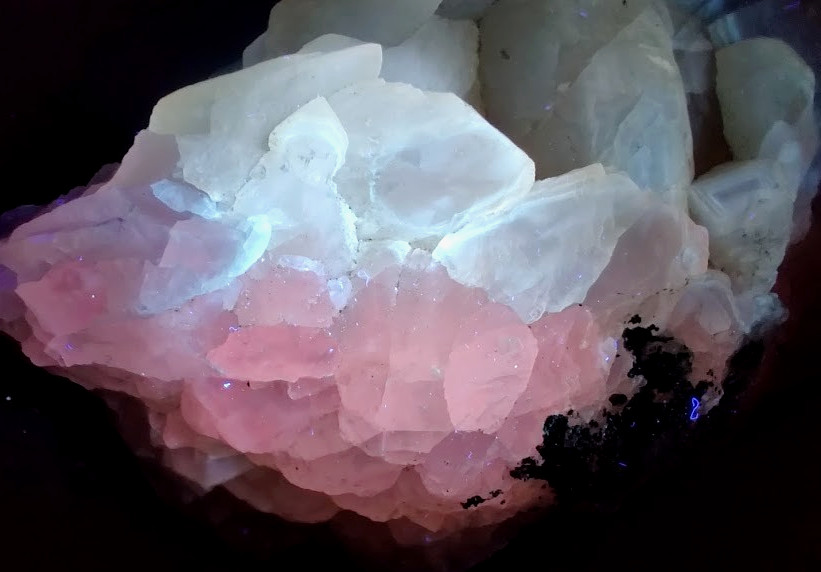 XXL Pink & White UV-Reacting Calcite Specimen: 2lb Museum Grade, See VIDEO