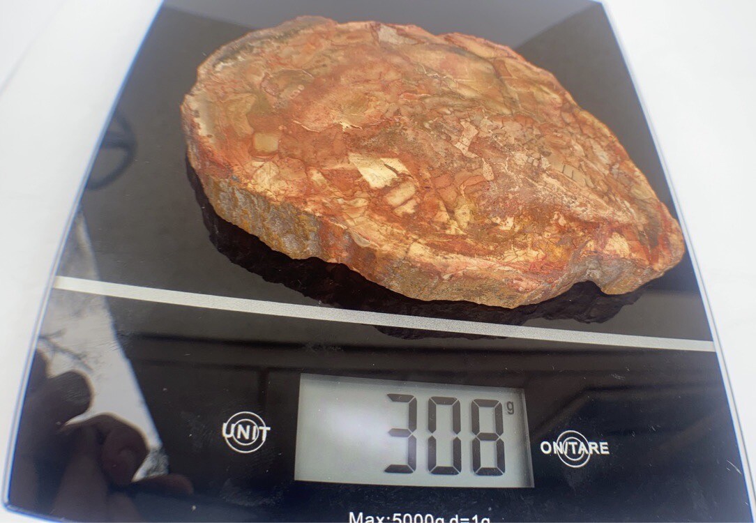 Petrified Wood Slab 308 Gram/both Sides Polished,Bark Ring On/Beautiful Specimen