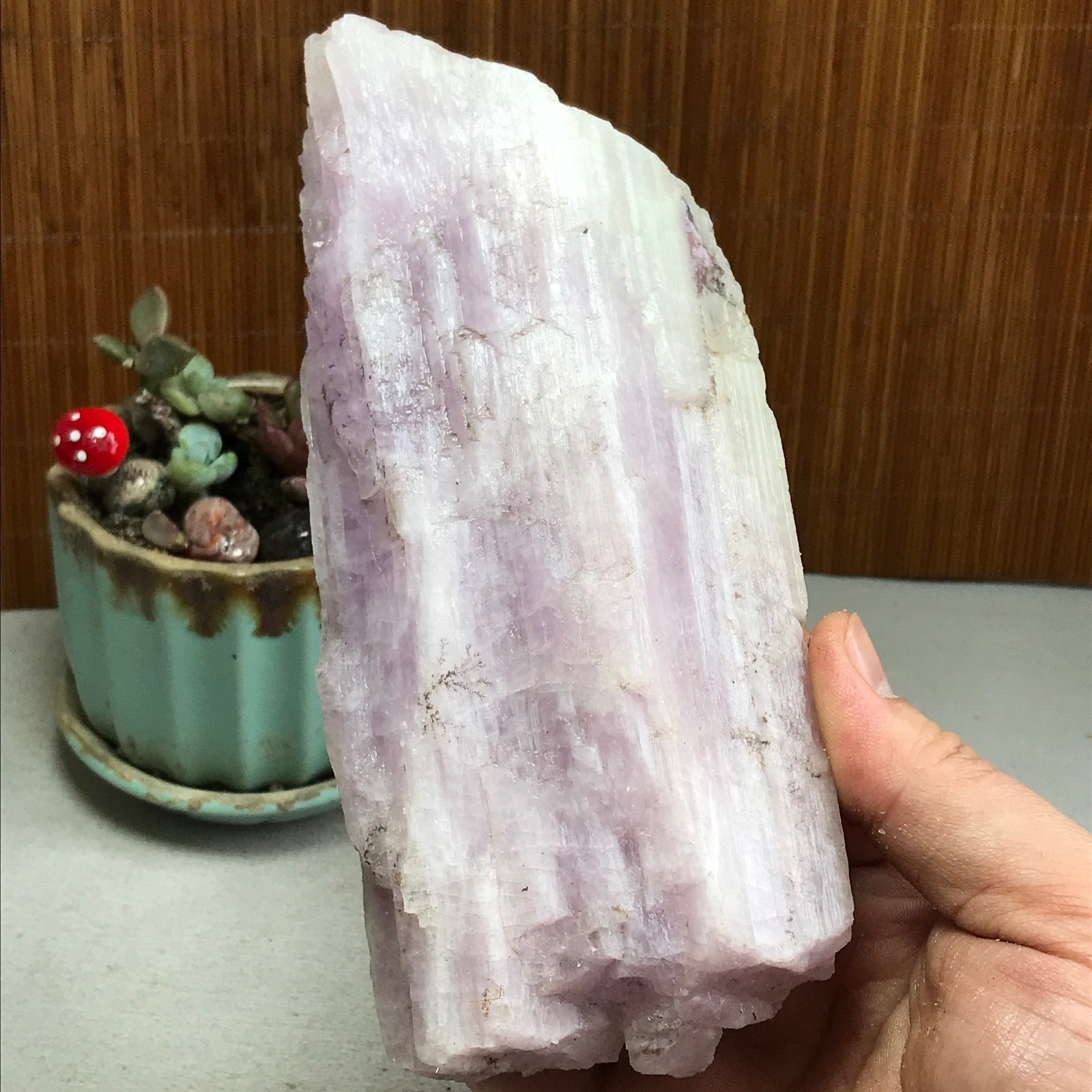 170-78-40mm NATURAL ROUGH KUNZITE PINK SPODUMENE CRYSTALS 830g A4613