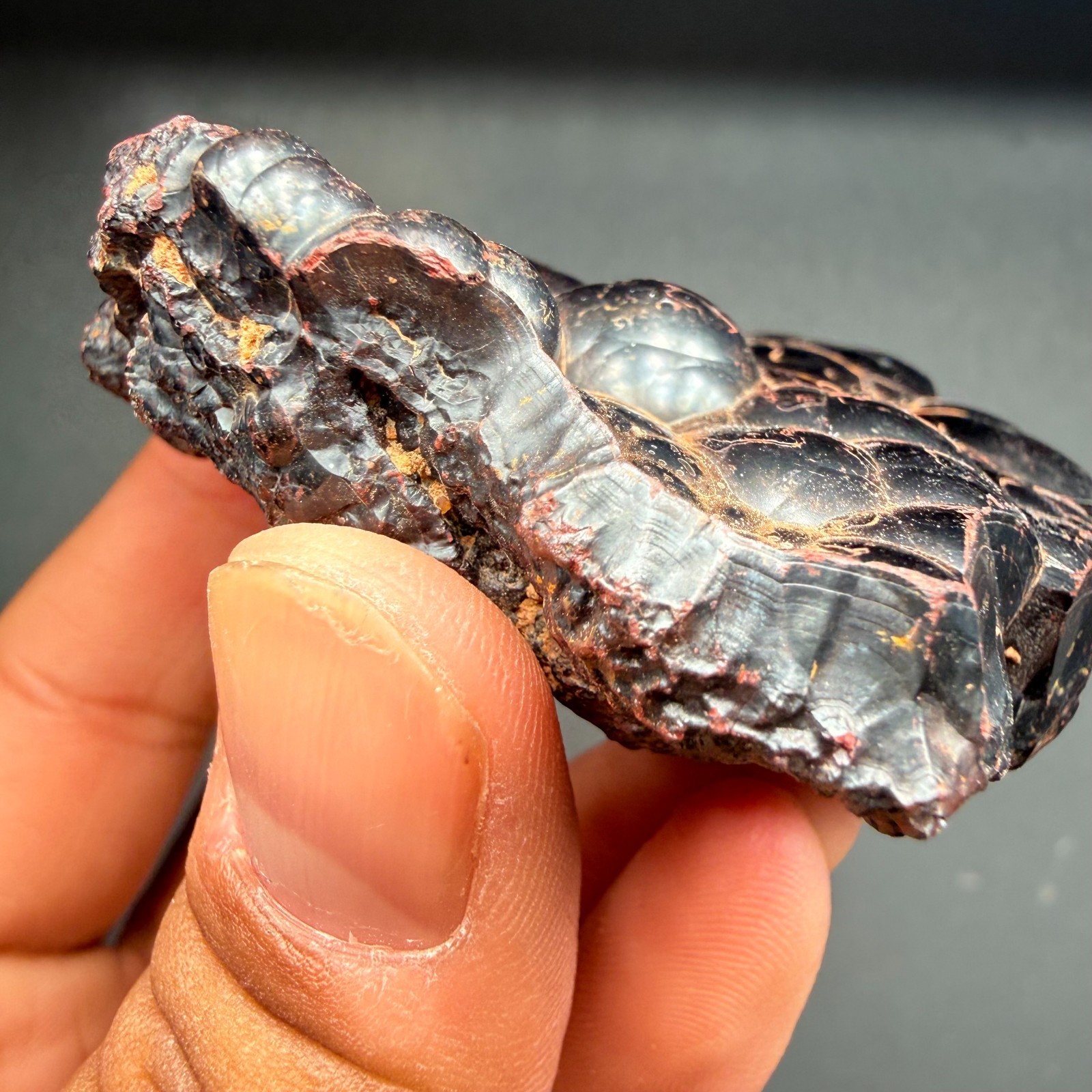 Botryoidal Hematite Specimen from Morocco 171g – Natural Iron Rose Formation