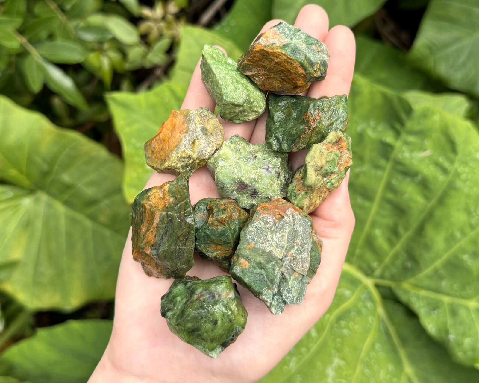 2 lb Bulk Wholesale Lot of Natural Rough Chrysoprase Crystals (Raw Rock Mineral)