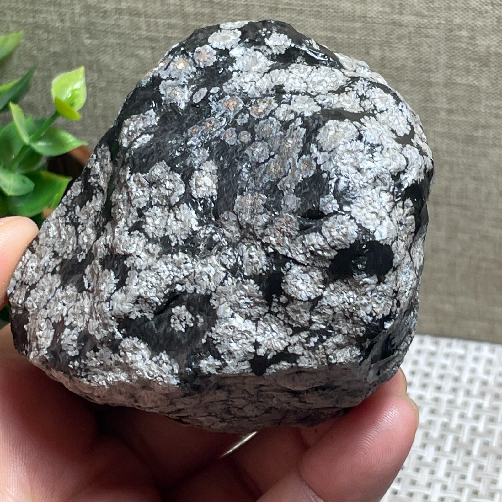 Snowflake Obsidian raw stone rock rough original specimen 300g A143