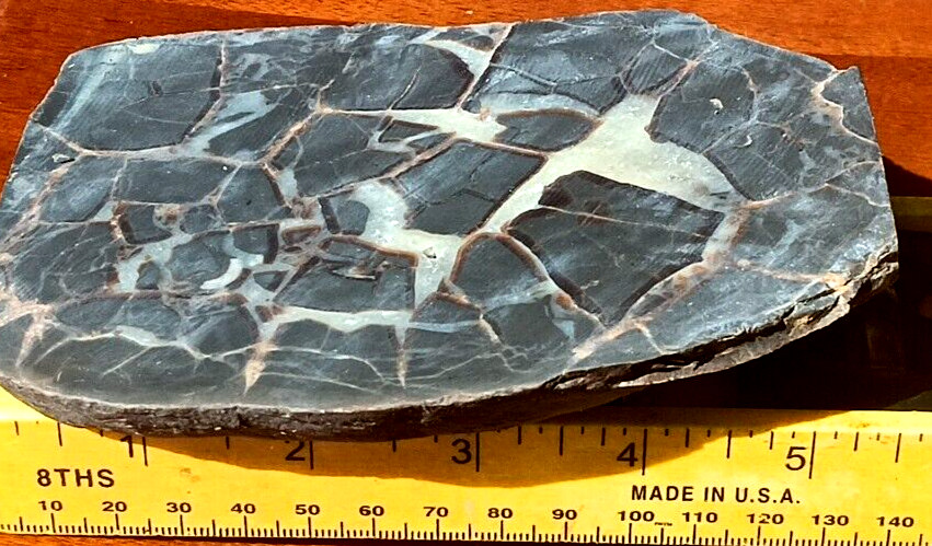 Septarian Nodule UV Reactive End Cut Display Crystal Specimen Glows Purple