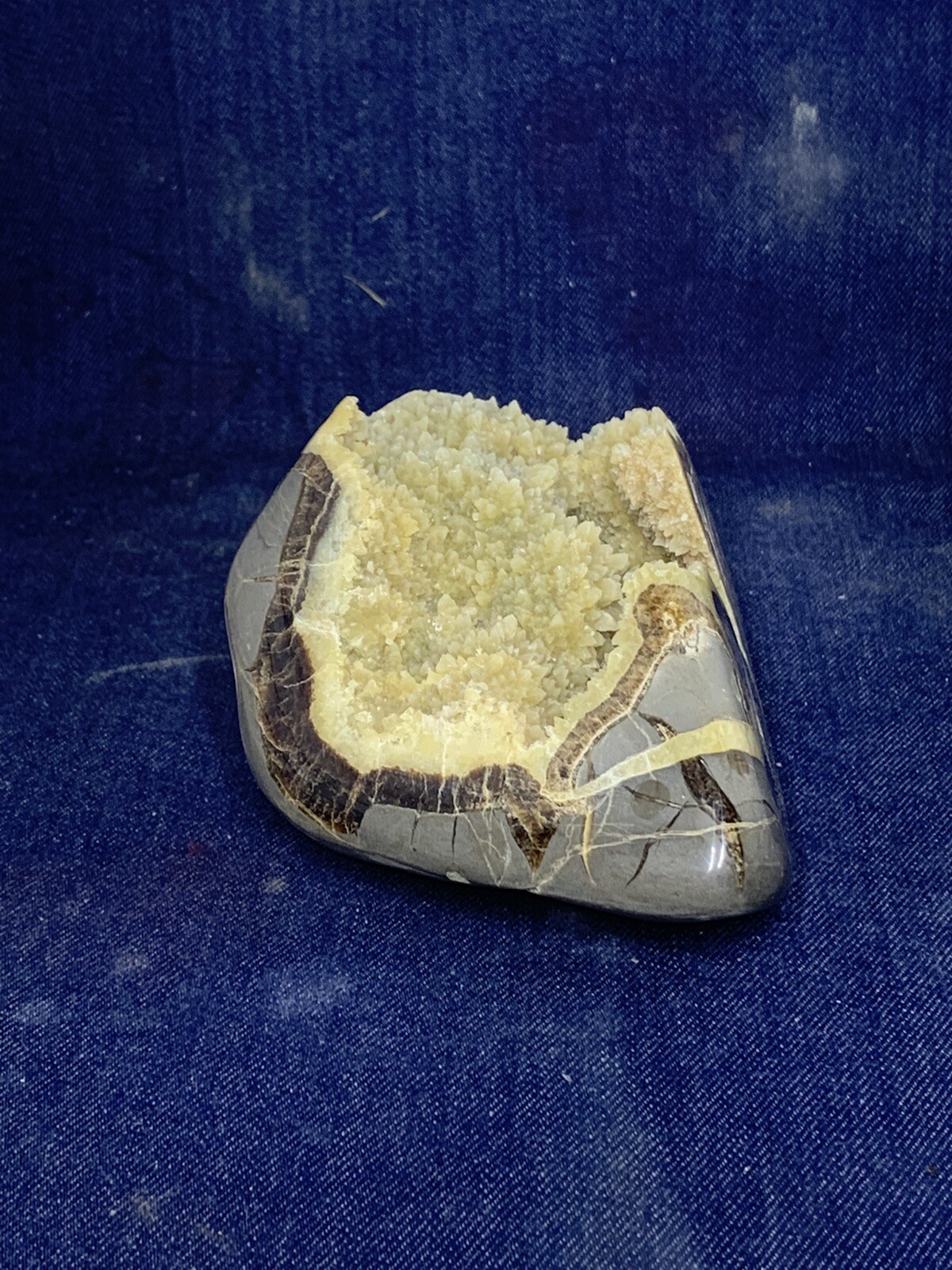 Septarian Nodule Freeform ( Utah)with Description Card