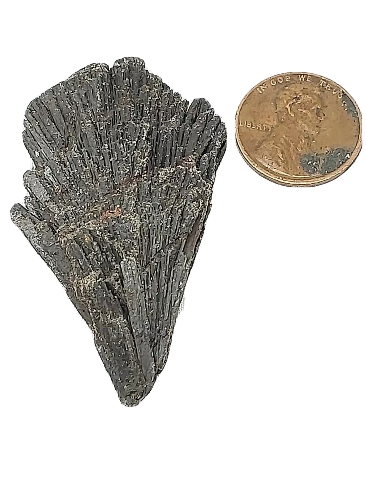 1 lb black kyanite fans wholesale lot pound closeout BEST DEAL ON THE NET