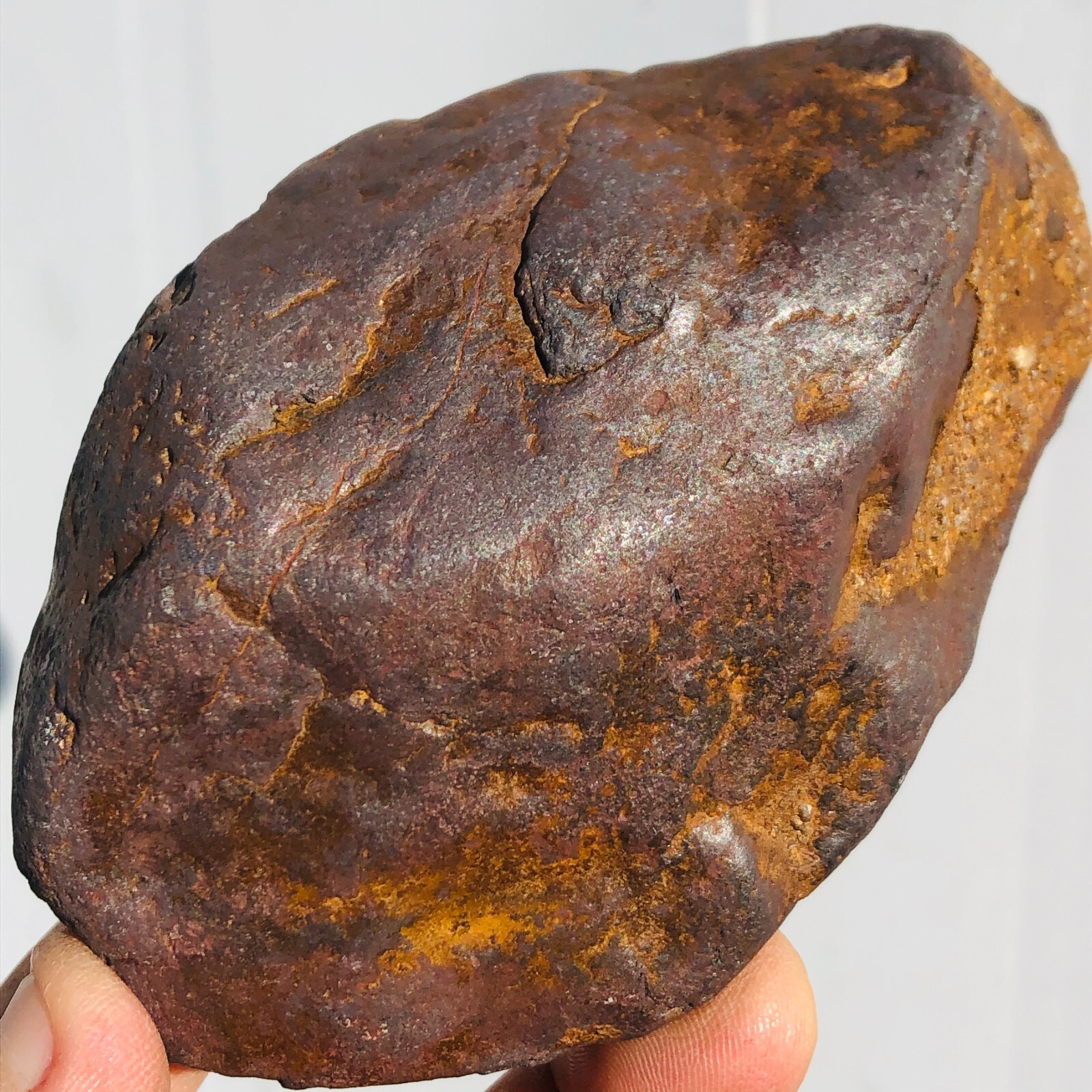 1.62lb STONY IRON H CHONDRITE METEORITE Polished Carved Space Rock Specimen