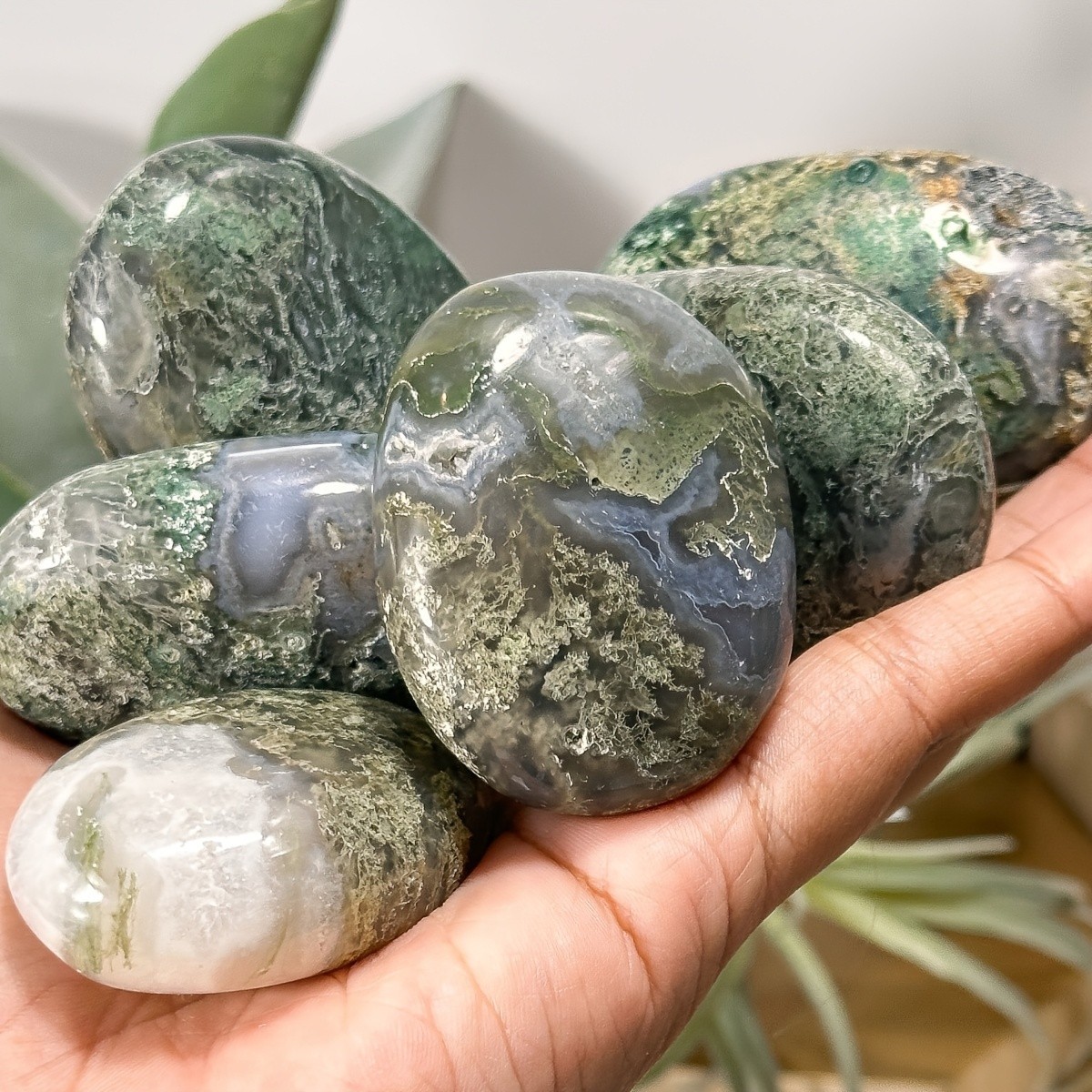 0.2LB Wholesale Natural Moss Agate Crystal Palm Stone Druzy Geode Home Collect