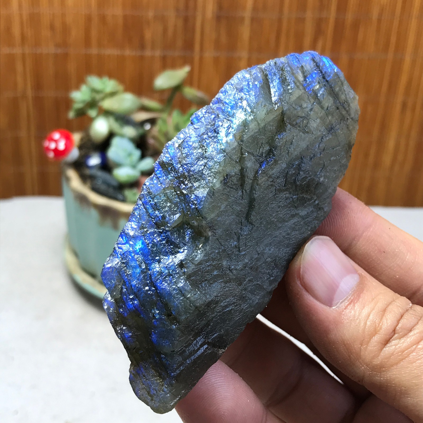 93-38-21mm Natural Labradorite Crystal gemstone Rough Mineral Specimen A5397