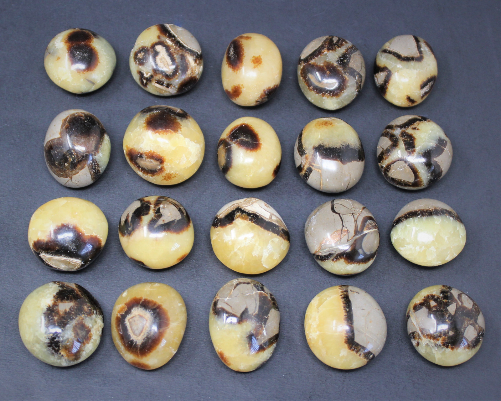 Septarian Hand Polished Palm Stones: ‘A’ Grade Wholesale Bulk Lot