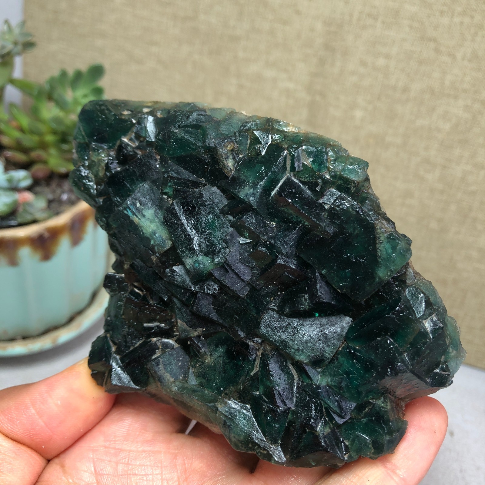 345g NATURAL Green Cubic FLUORITE Crystal Cluster Mineral Specimen A4719