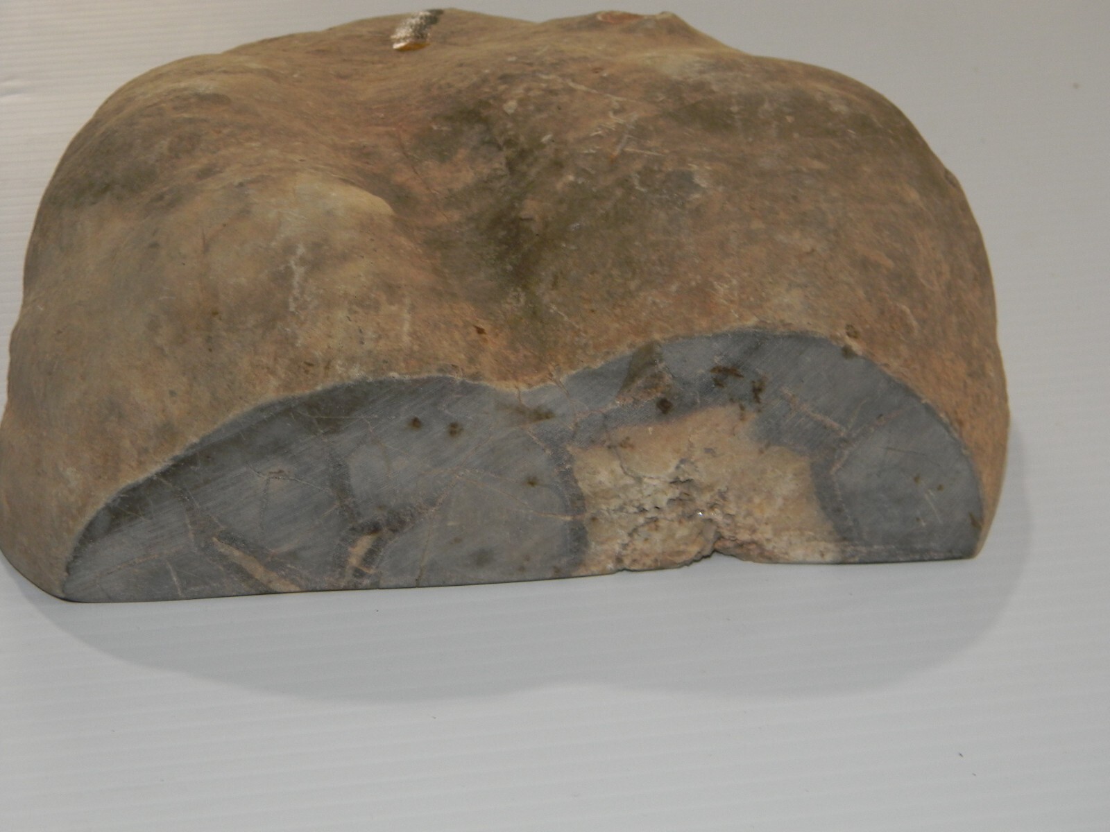 11 lb – Polished SEPTARIAN Nodule Half Utah Cut Bottom Standing