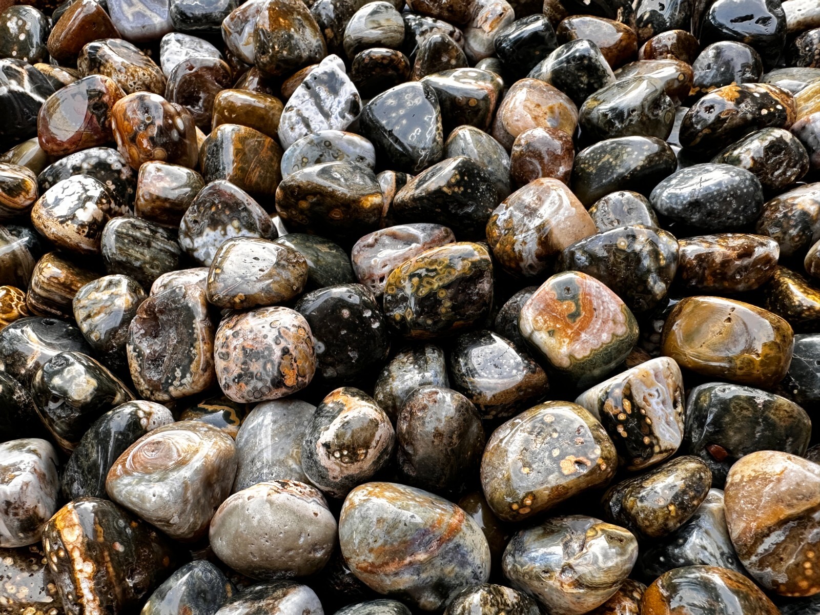 Grade A++ Ocean Jasper Tumbled Stones, 0.75-1 inch Sea Jasper Stones, Bulk Lot