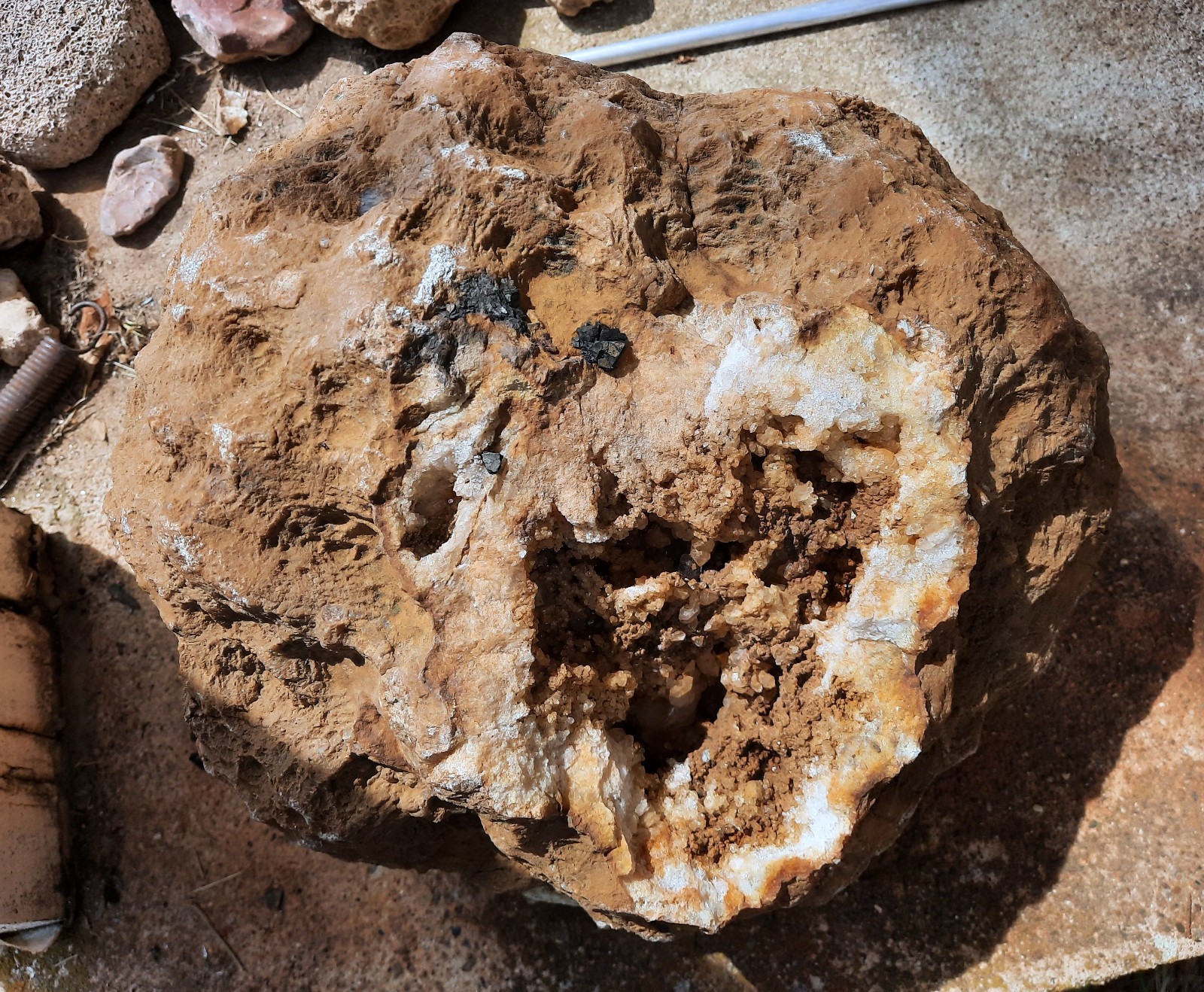 Rare 10.5″, Incredible 30″ Circumference. Calcite Geode from Southern Kentucky