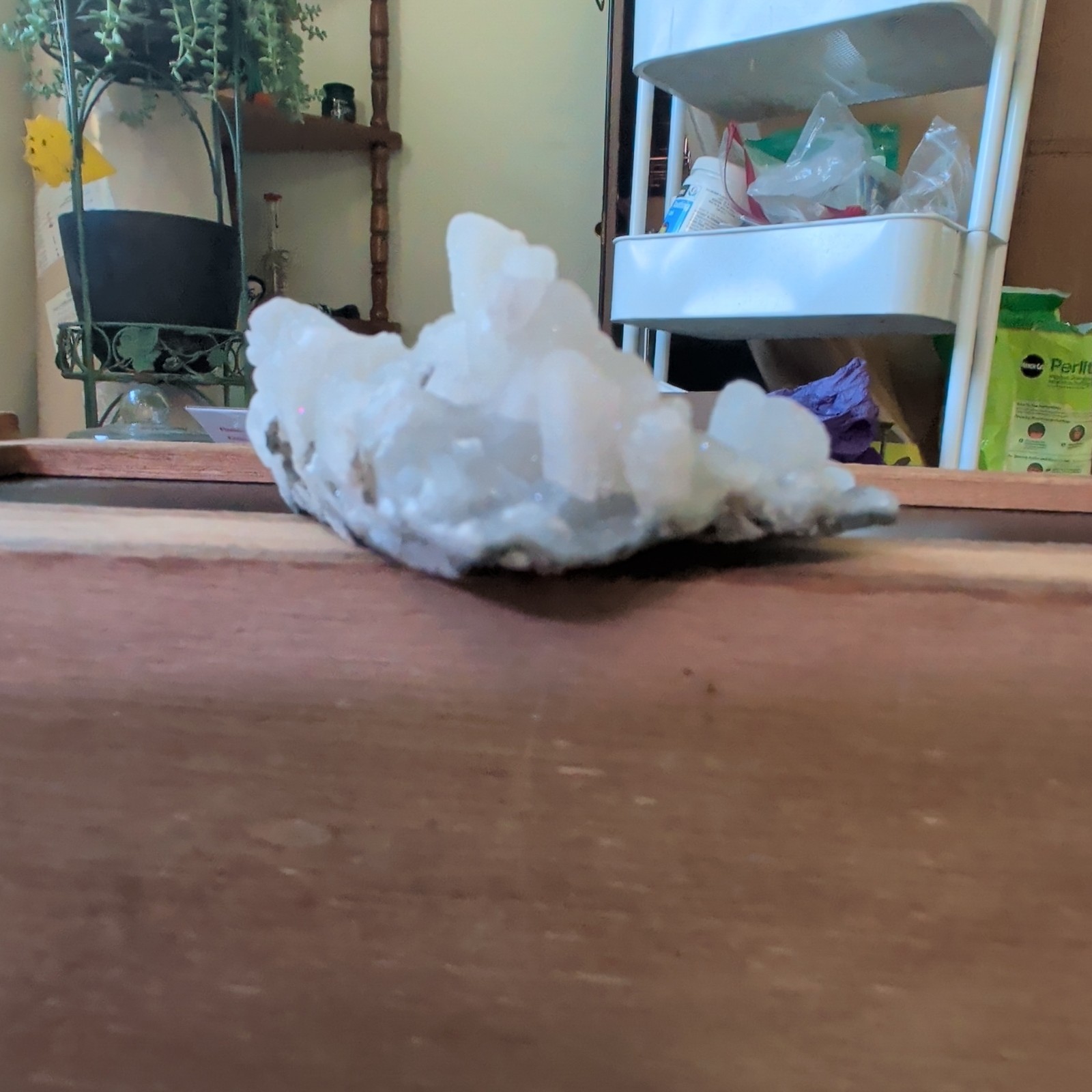 Apophyllite on Druzy Light Blue Chalcedony Crystal Cluster, Mineral Specimen