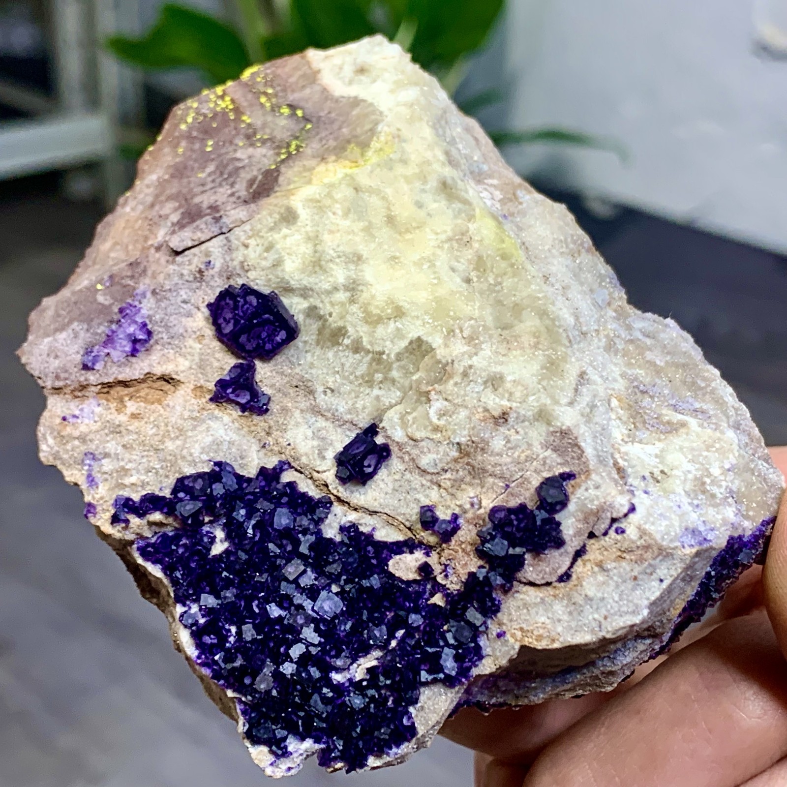 248G Rare transparent purple cubic fluorite mineral crystal sample/China