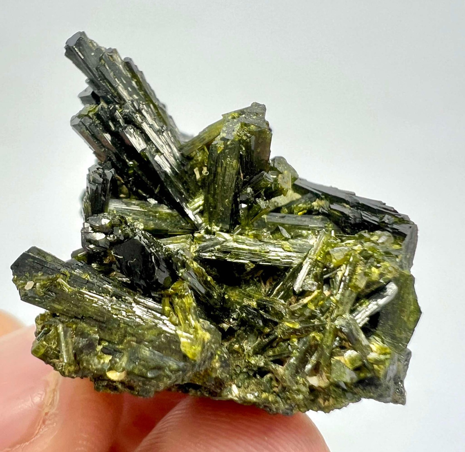 123 CT Amazing! Epidote Crystals Bunch Specimen From Skardu Pakistan s42