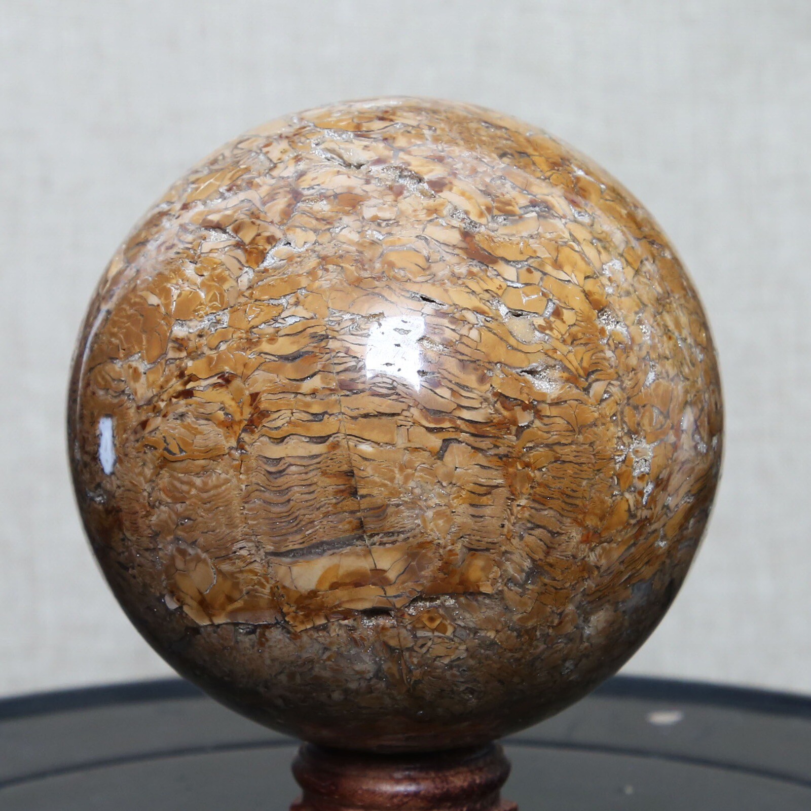 B8702-85mm-817g Amazing Natural Ocean Ibis Jasper Orbicular Sphere Reiki Crystal