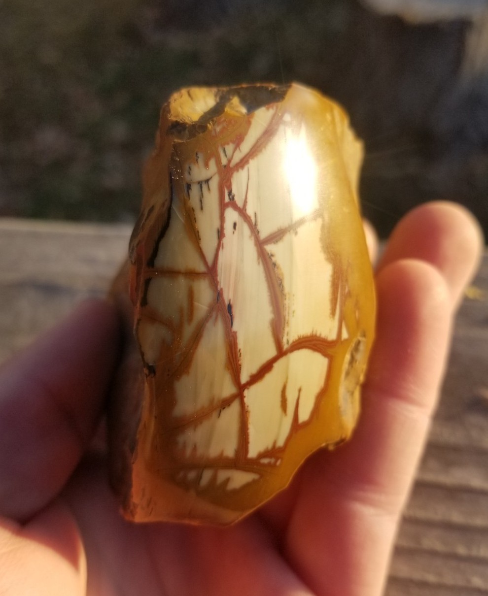 Nice End Polished Gem Grade Owyhee Picture Jasper Specimen 13.5oz Oregon Display