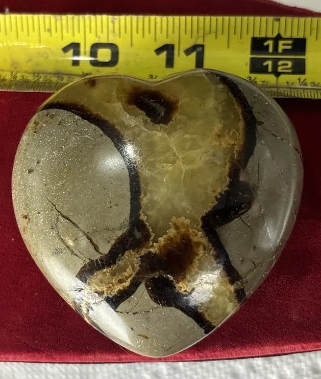 2 1/2 inch septarian nodule puffy heart