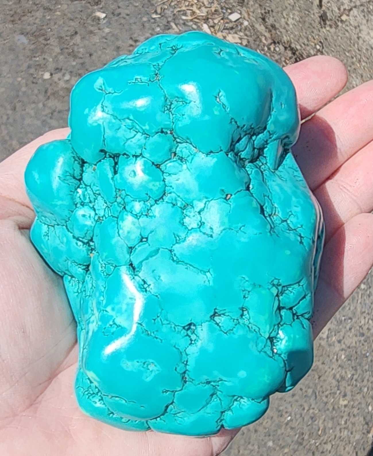 420g Natural Botryoidal Turquoise Rough Gemstone Crystal Mineral Specimen