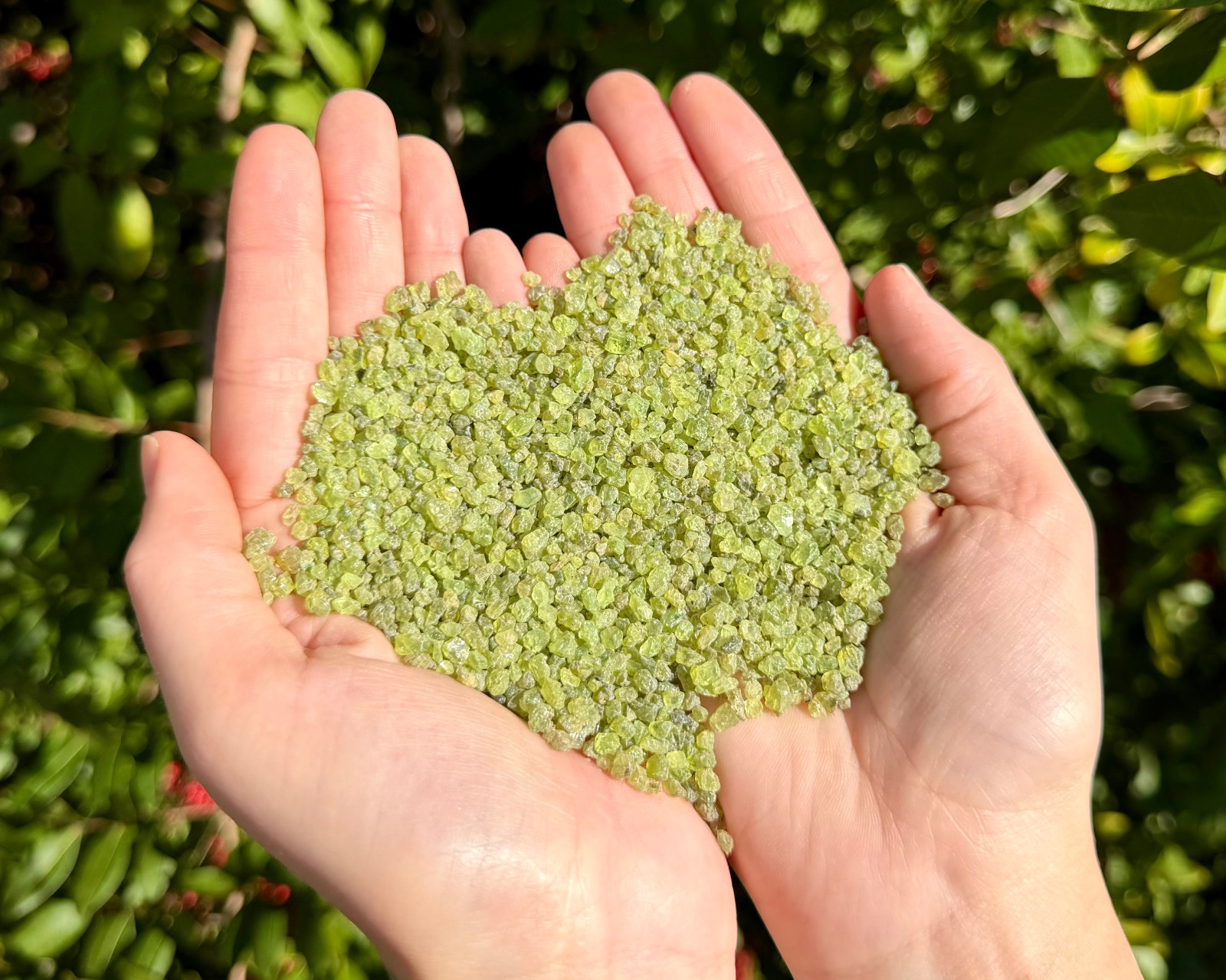 Peridot Semi Rough Gemstone Chips 2-4 mm Wholesale Lots (Natural Peridot Chips)