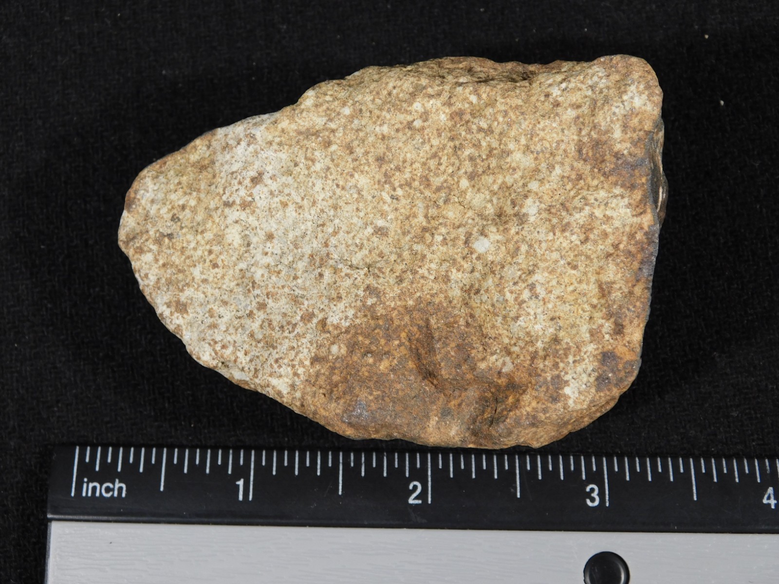 Larger Classified NWA 8245 METEORITE 100% Natural! Erfoud, Morocco 207gr